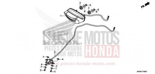TAILLIGHT/LICENSE LIGHT CBR650RAK de 2019
